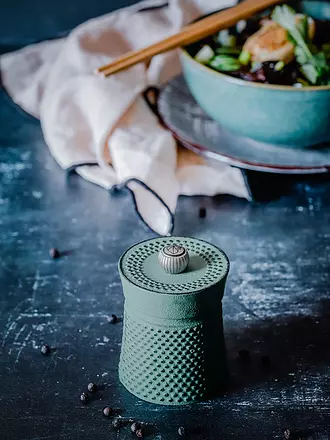 PEUGEOT | Moulin à poivre BALI 8cm fonte / Vert | grün